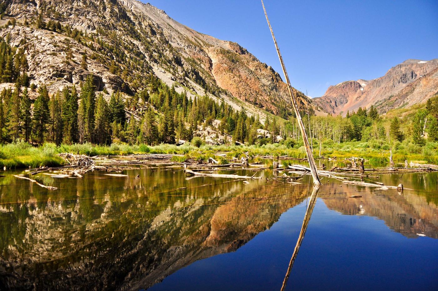 Mountain peaks and evergreen forest reflected in a still blue lake
